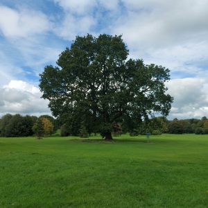 ben-marler-YsOzHlK0LUA-unsplash